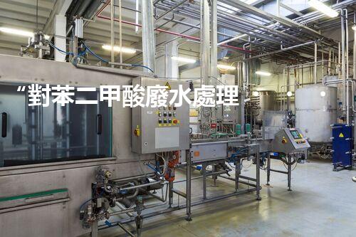 “對苯二甲酸廢水處理，綠色創(chuàng)新引領環(huán)保新篇章”